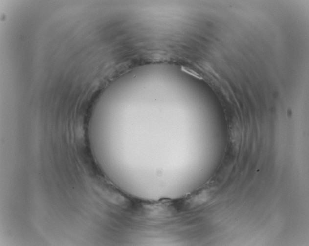 X0000089420516200707061322