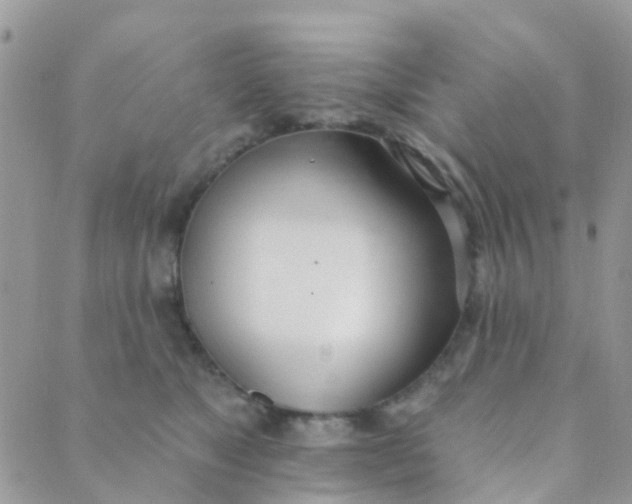 X0000089420517200707061322