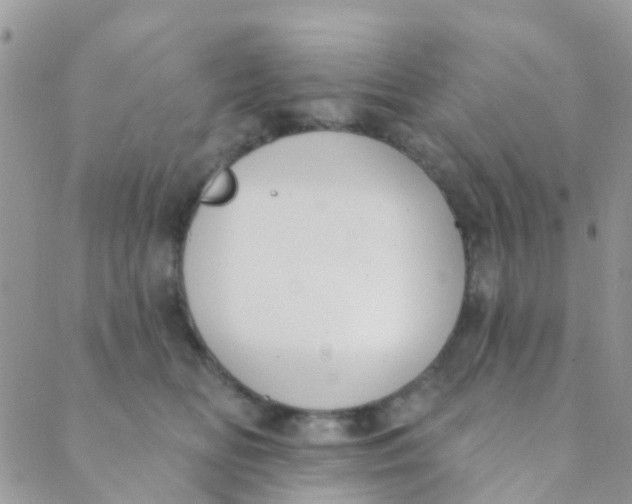 X0000089420518200707061322