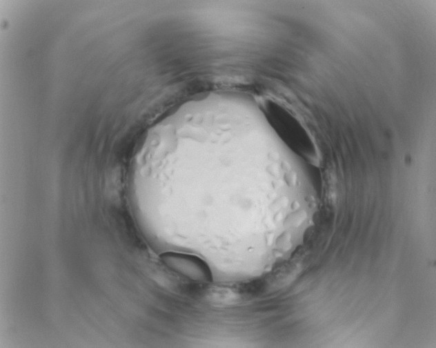 X0000089420519200707061322