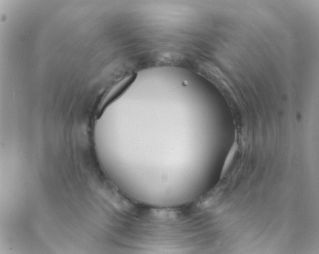 X0000089420520200707061322