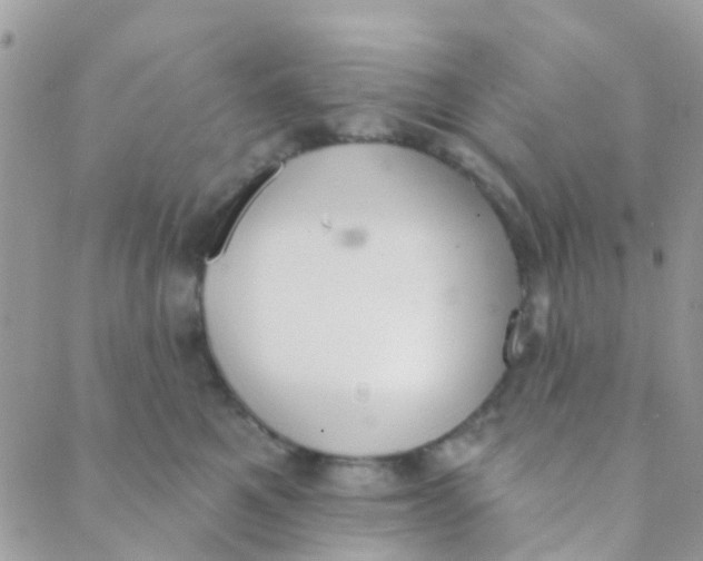 X0000089420521200707061322