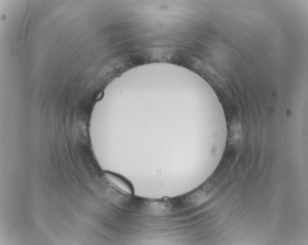 X0000089420522200707061322