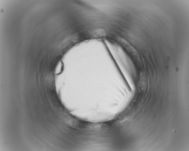 X0000089420523200707061322