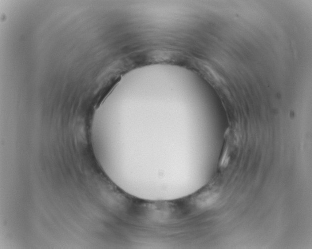 X0000089420524200707061322