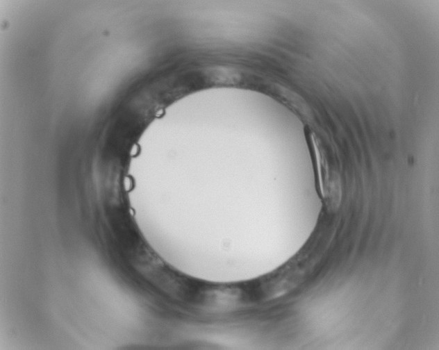 X0000089420525200707061322