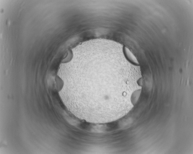 X0000089420527200707061322