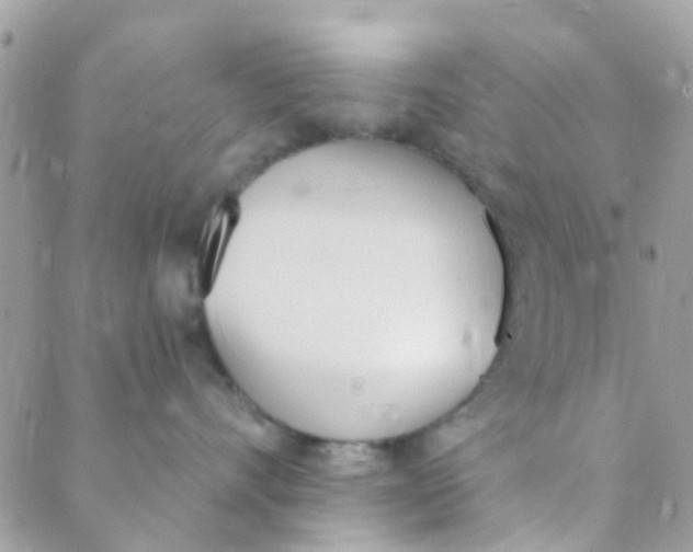 X0000089420528200707061322