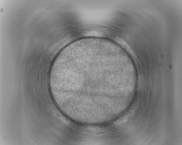 X0000089420529200707061321