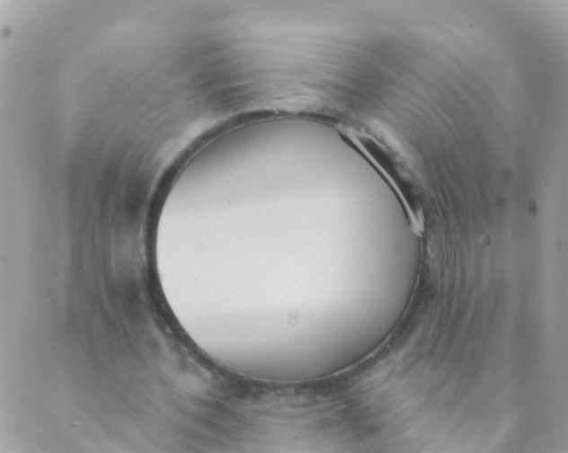 X0000089420532200707061321