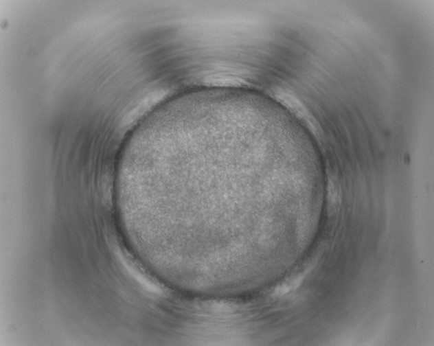 X0000089420533200707061321