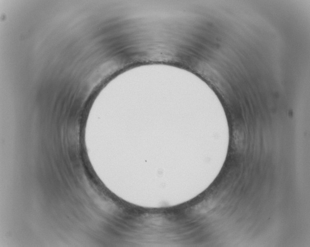 X0000089420534200707061321