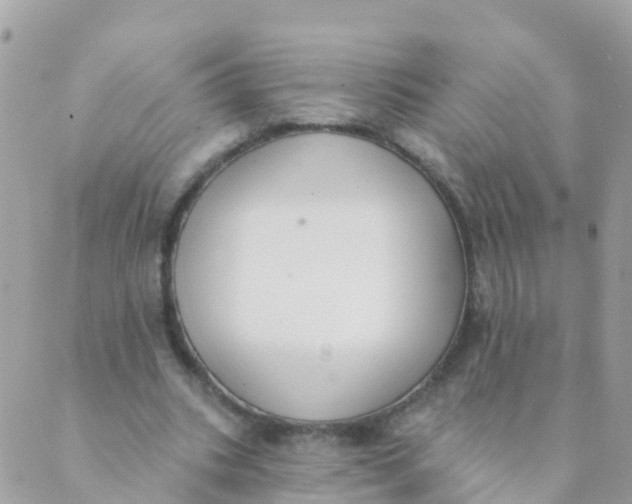 X0000089420535200707061321