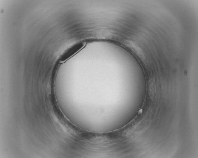 X0000089420536200707061321