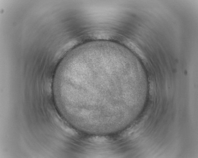 X0000089420537200707061321