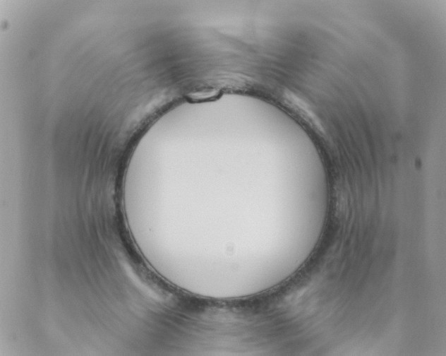 X0000089420538200707061321