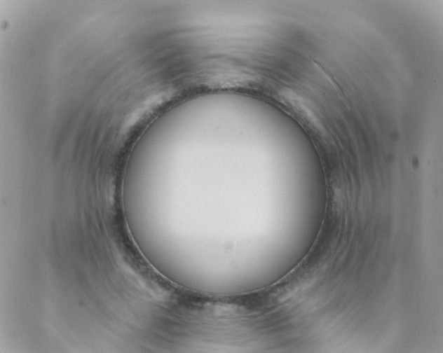 X0000089420539200707061321