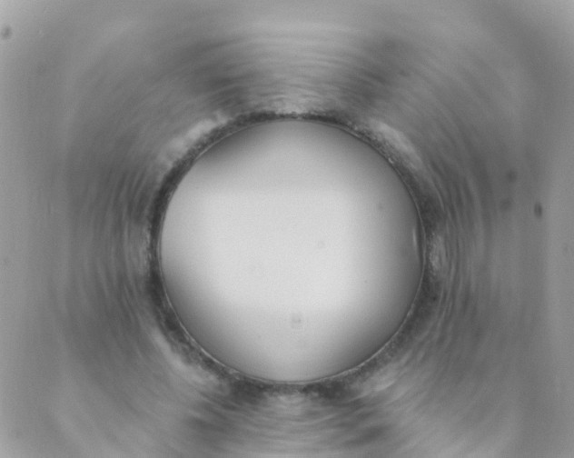 X0000089420540200707061321