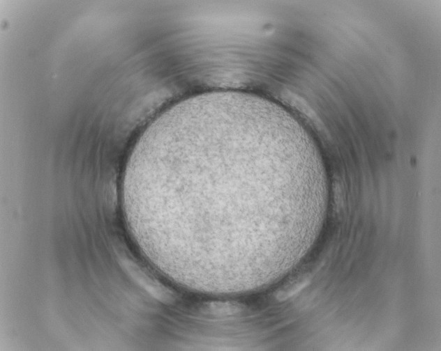 X0000089420541200707061321