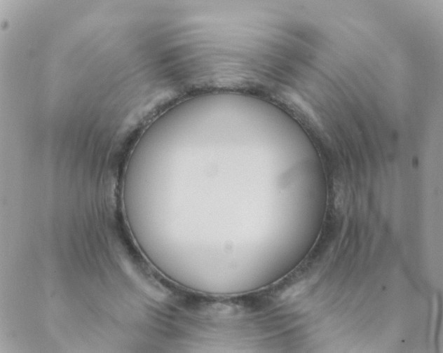 X0000089420542200707061321