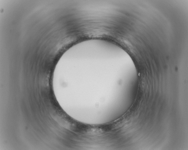 X0000089420543200707061321