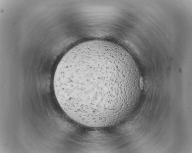 X0000089420544200707061321