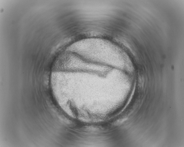 X0000089420545200707061321