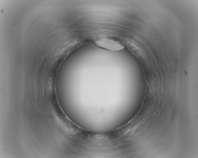 X0000089420546200707061321