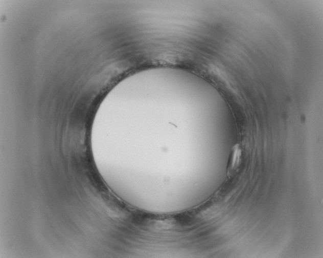 X0000089420548200707061321