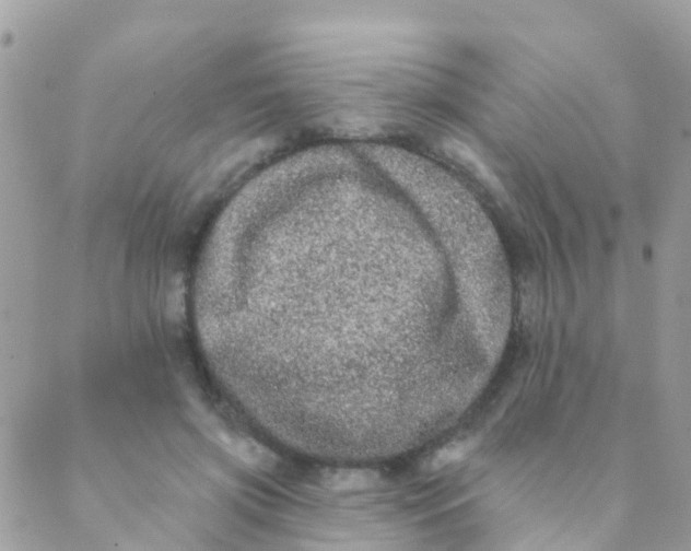 X0000089420549200707061321