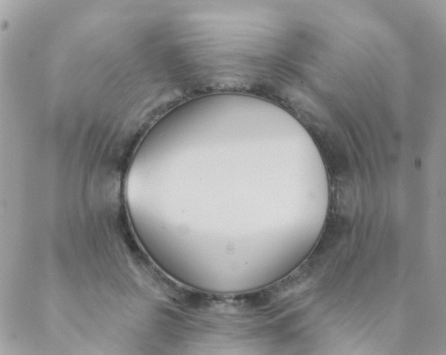 X0000089420550200707061321