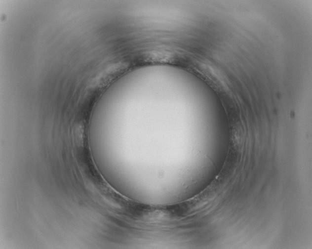 X0000089420551200707061321