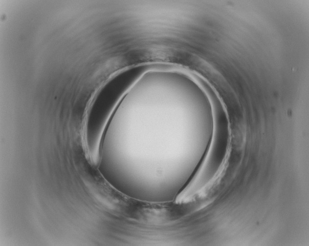 X0000089420552200707061321