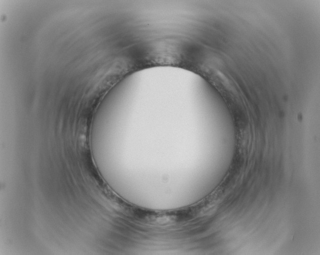 X0000089420553200707061321