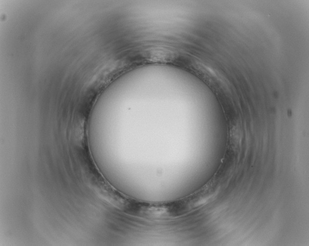 X0000089420554200707061321