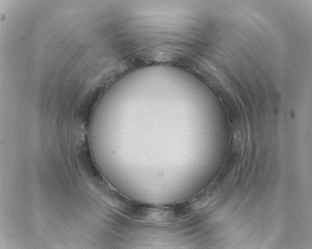 X0000089420555200707061321