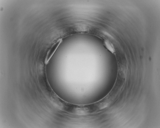 X0000089420556200707061321