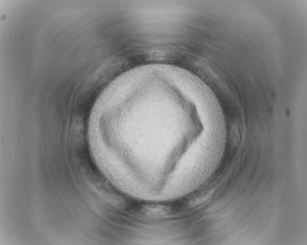 X0000089420557200707061321