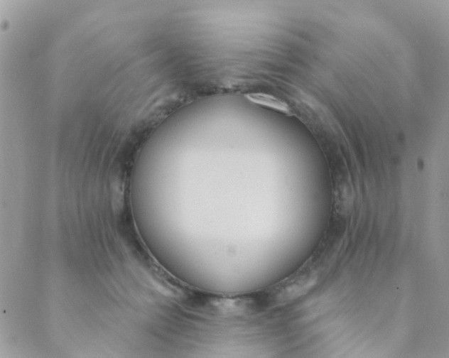 X0000089420558200707061321