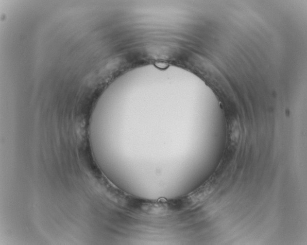 X0000089420559200707061321