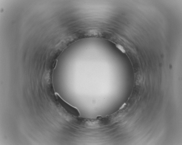 X0000089420560200707061321