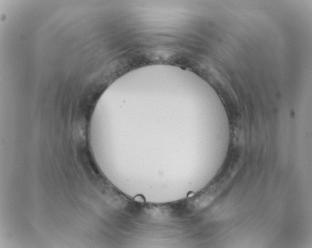 X0000089420561200707061321