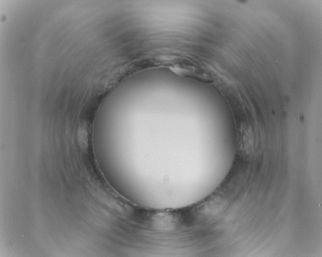 X0000089420562200707061321