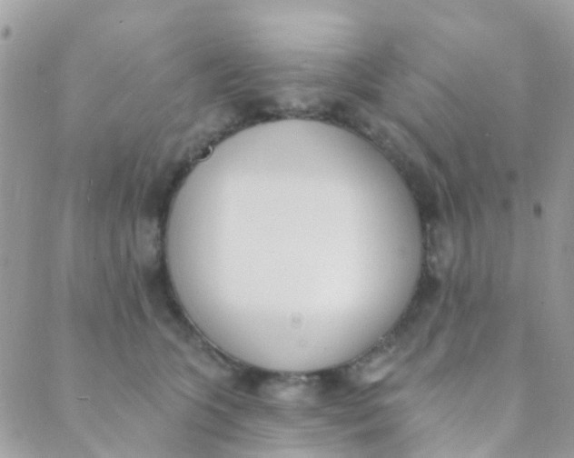 X0000089420563200707061321