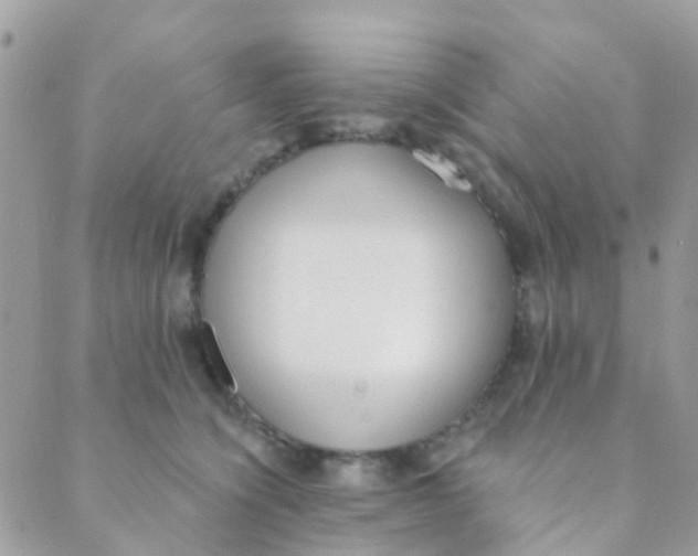 X0000089420564200707061321