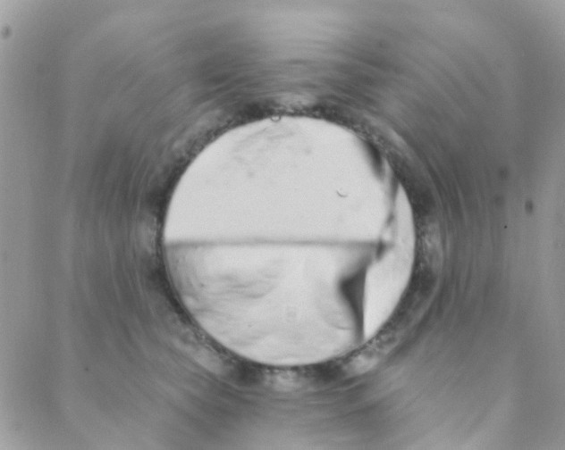 X0000089420565200707061321