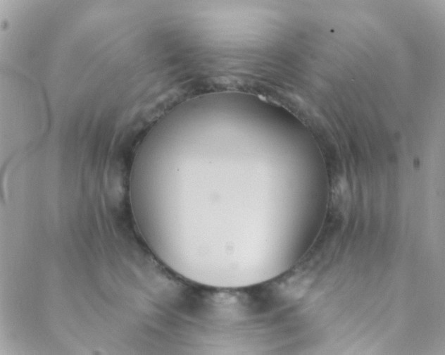 X0000089420566200707061321