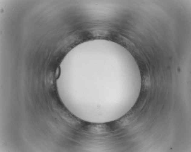 X0000089420567200707061322