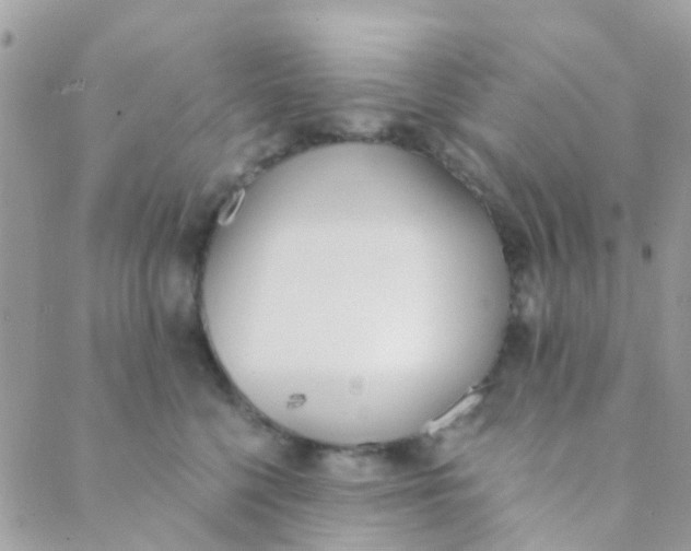 X0000089420568200707061322