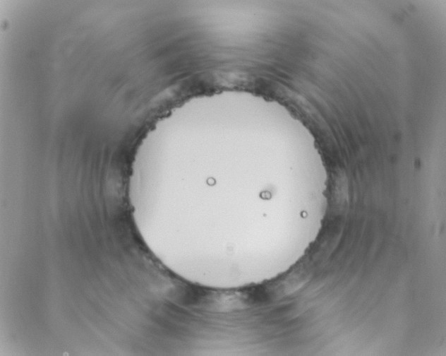 X0000089420569200707061322